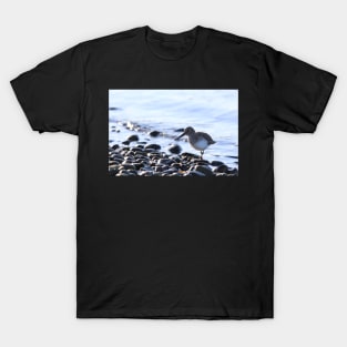 Shorebird T-Shirt